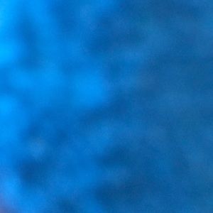 Meet your Posher, Gabriel